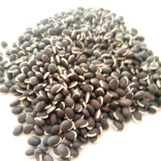 NJAHI BEANS