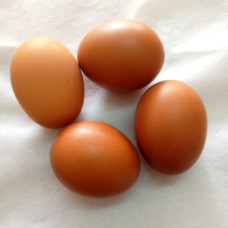 EGGS