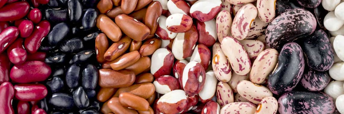 ALL TYPES LEGUMES